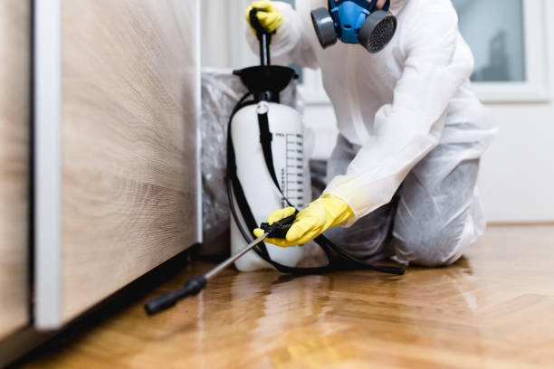 Best Pest Control Treatment  in Upper Brookville, NY