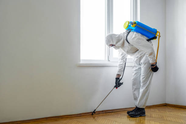 Flea Control Services in Upper Brookville, NY