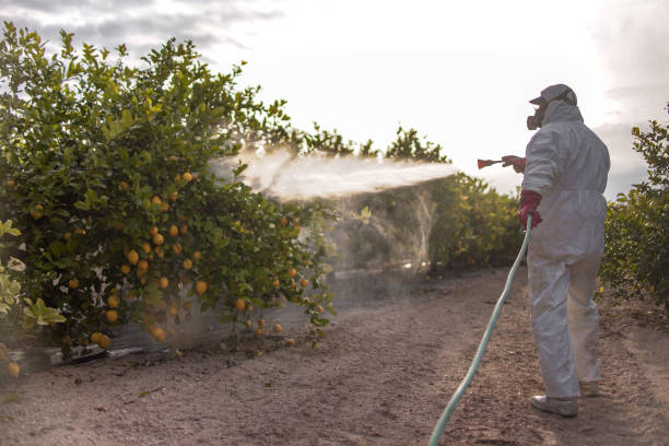 Trusted Upper Brookville, NY Pest Control Experts