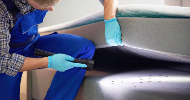 Best Pest Inspection Near Me  in Upper Brookville, NY