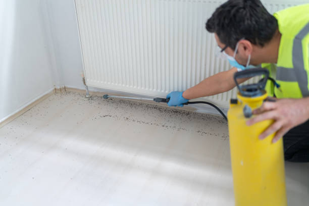 Best Local Pest Control Services  in Upper Brookville, NY
